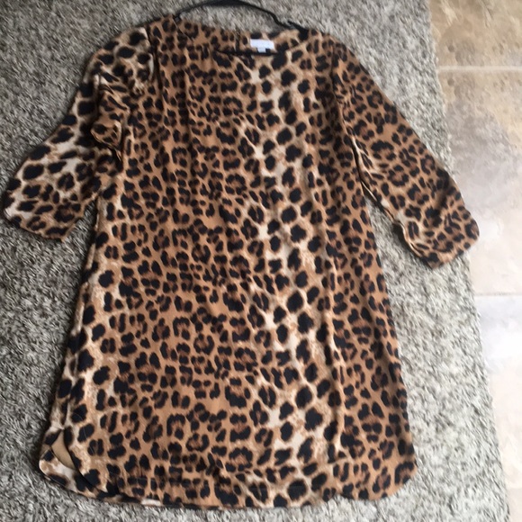 Charming Charlie Dresses & Skirts - Charming Charlie leopard dress medium